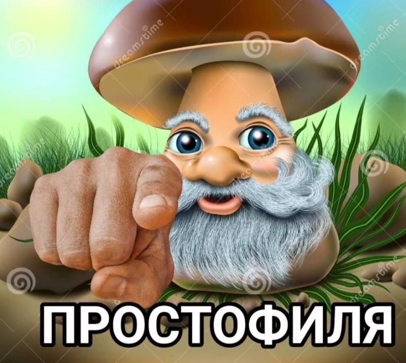 Create meme: the simpleton mushroom, grandfather mushroom, mushroom old man borovichok