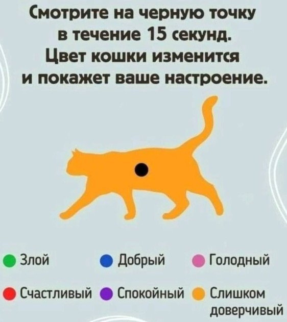 Создать мем: цвета кошек, кот, тест про кошек
