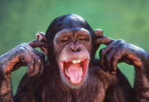 Create meme: funny evil monkey, funny chimpanzee, chimpanzees