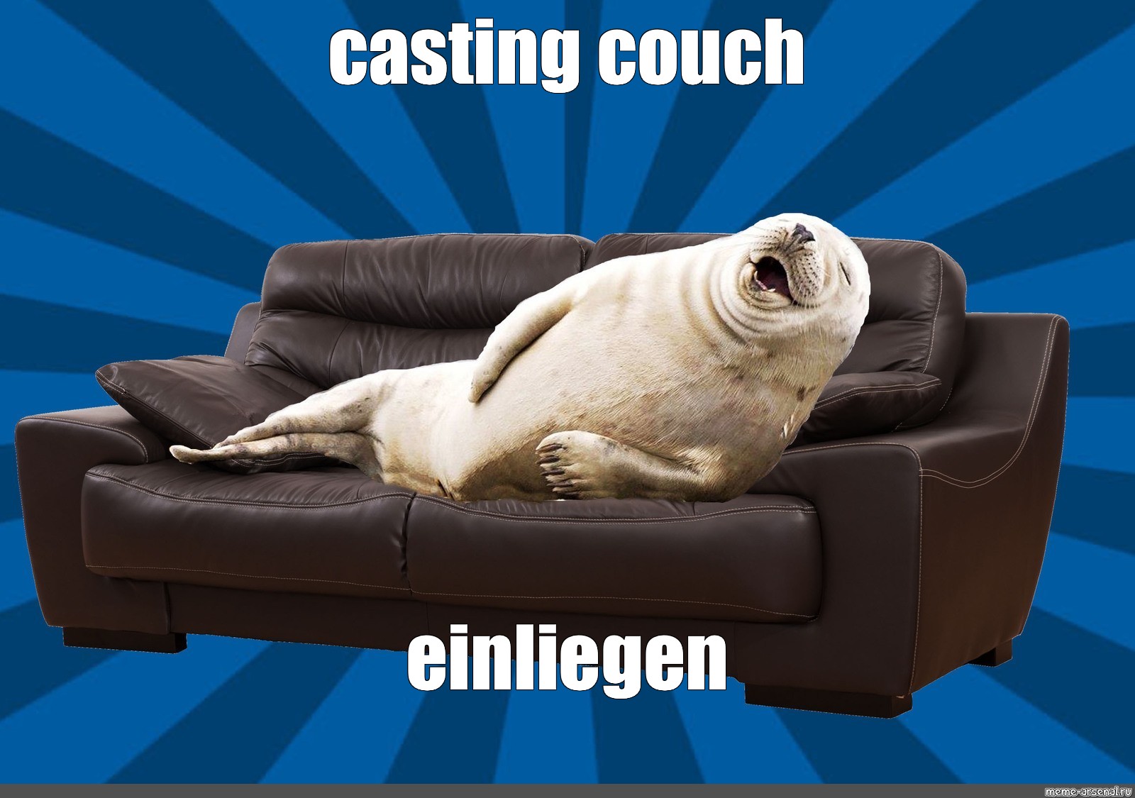 Диван лени. Тюлень на диване. Смешной диван. Ленивый тюлень. Диван прикол.