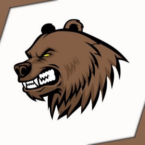 Create meme: angry bear