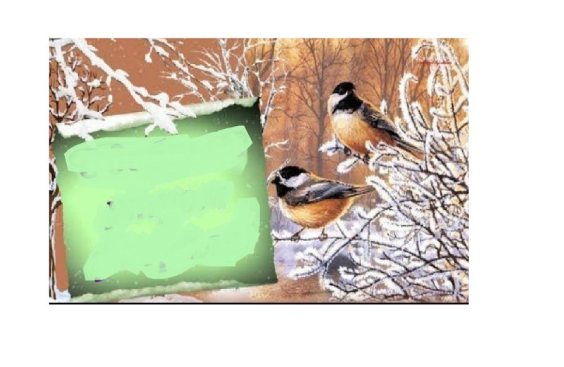 Create meme: winter birds, winter landscape with tits, birds 