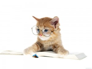 Create meme: cat, cat, cat scientist