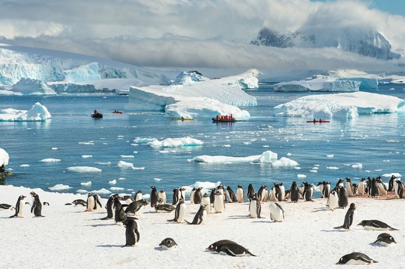 Create meme: Antarctica interesting facts, mainland Antarctica, Arctic antarctica antarctica
