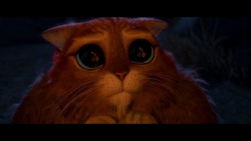 Create meme: the cat from Shrek eyes, Shrek cat, the cat from Shrek 