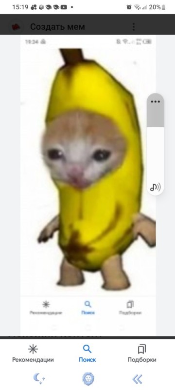 Создать мем: я банан, за бананами, плачущий кот в костюме банана
