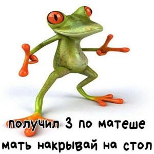 Создать мем: frog, лягушка, мать накрывай на стол у меня 3 по матеше