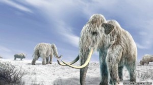 Создать мем: мохнатый слон мамонт, шерстистый мамонт в ледниковый период, woolly mammoth