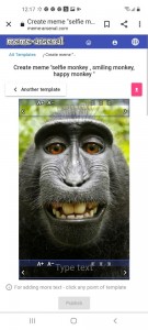 Create meme: macaque selfie, text, stupid monkey