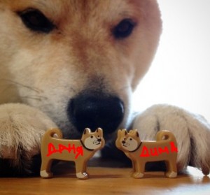 Create meme: Shiba inu memes, dog Shiba, Shiba inu meme bites