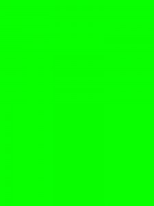 Create meme: lime green, light green, green