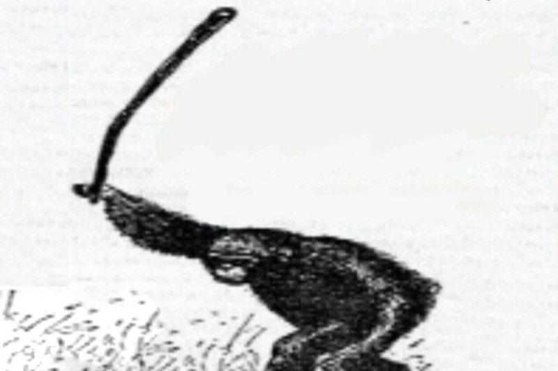Создать мем: обезьяна с дубиной, бунд блэт, бунт обезьяна с палкой