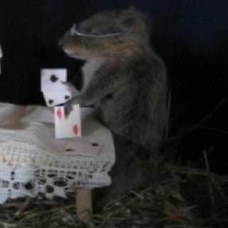 Create meme: I hid it, a stuffed rat, Two rats are playing cards