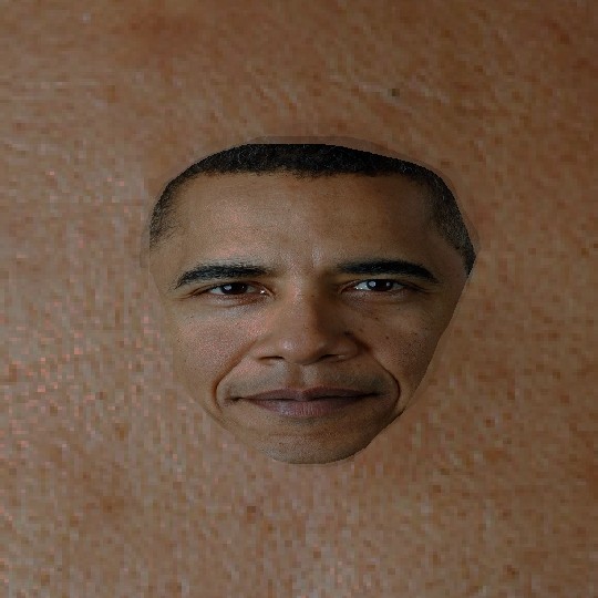 Create meme: people , Obama is a Negro, Obama portrait