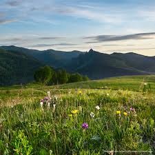 Create meme: alpine meadows of the Elbrus region, alpine meadows, nature of Altai