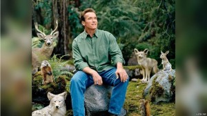 Create meme: Schwarzenegger on the nature of the meme, Schwarzenegger in the woods