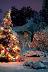 Создать мем: года, картинки елки в снегу новый год, украшенная елка