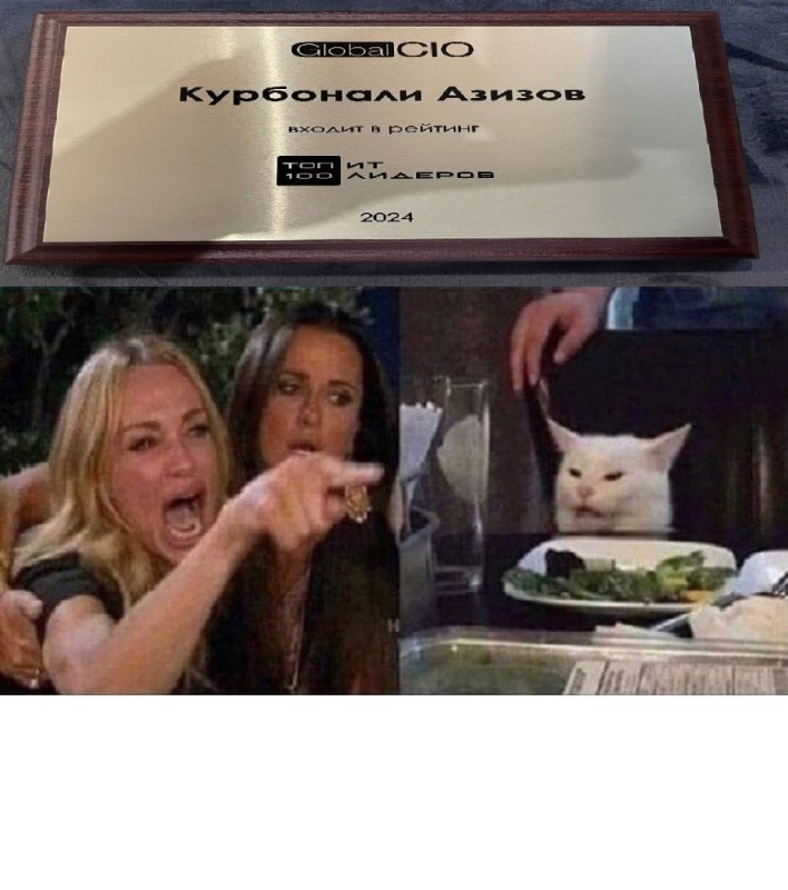Создать мем: мем женщина орет на кота, кот мем, мем с котом и девушками за столом