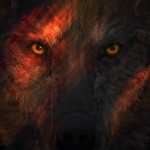 Create meme: wolf, art face wolf eyes, Wolf Eyes