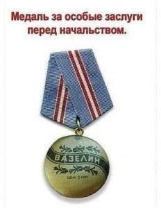 Create meme: the medal of merit