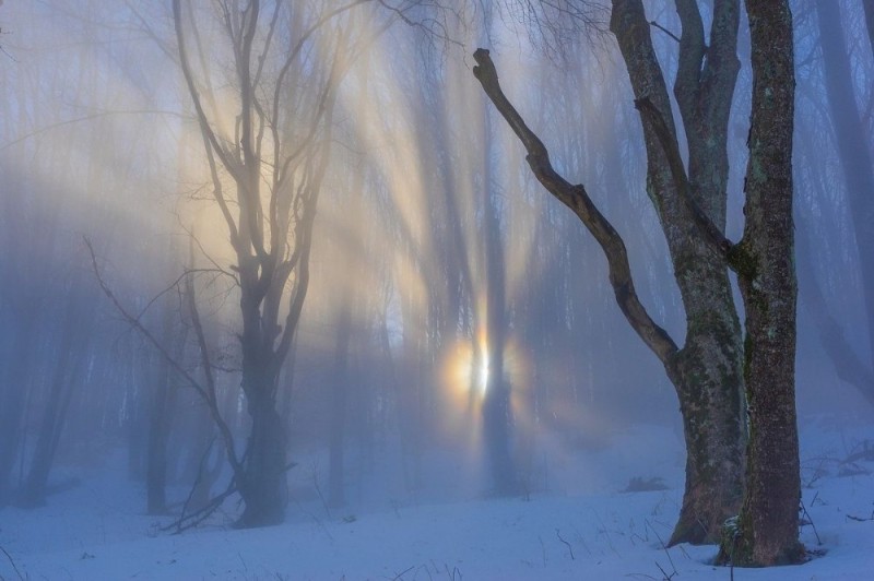Create meme: mist nature, morning winter, landscape 