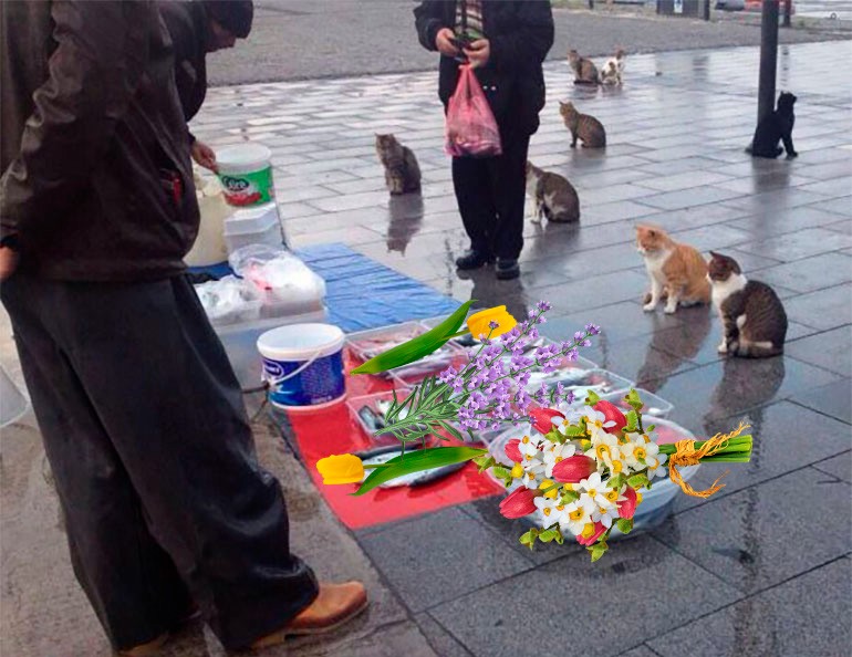 Создать мем: уличный кот мем, продаете рыбов, мем коты на рынке красивое