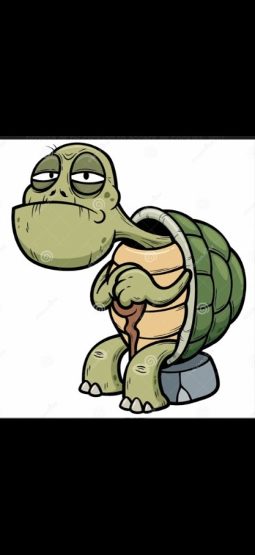 Create meme: cartoon turtle, The evil turtle, sad turtle