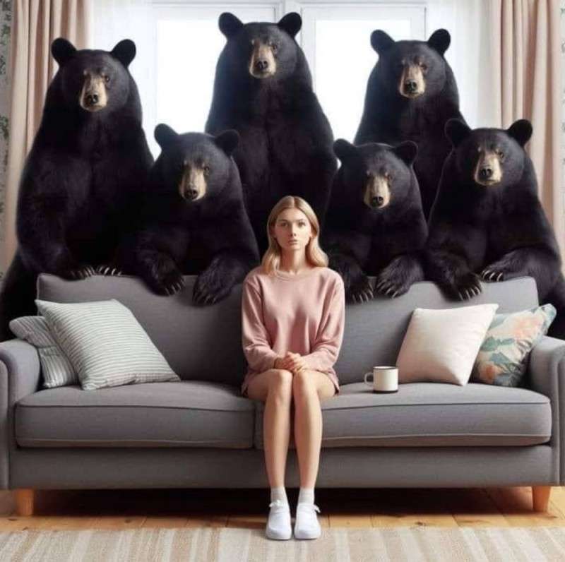 Создать мем: животное медведь, медведь, медведь медведь