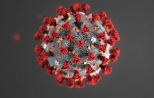 Create meme: virus, coronavirus infection, coronavirus