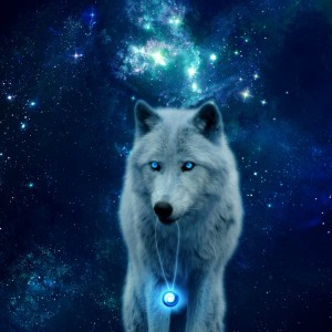 Create meme: photos of wolves fantasy, wolf hd Wallpaper, Arctic wolf art