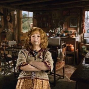 Создать мем: поттер, julie walters, семейство уизли