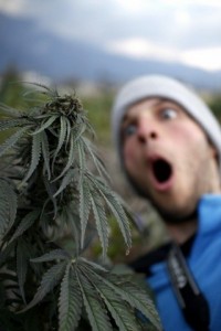 Create meme: legalize, hemp, weed
