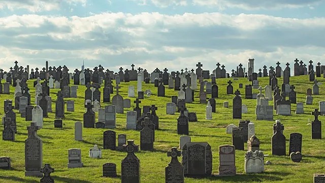 Создать мем: фотографии кладбища, русское кладбище, сен тропе кладбище