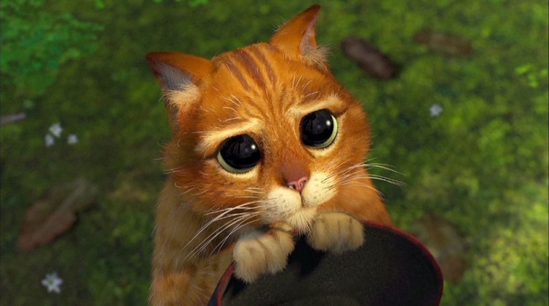 Create meme: the cat from Shrek eyes, puss in boots Shrek eyes, shrek cat with eyes