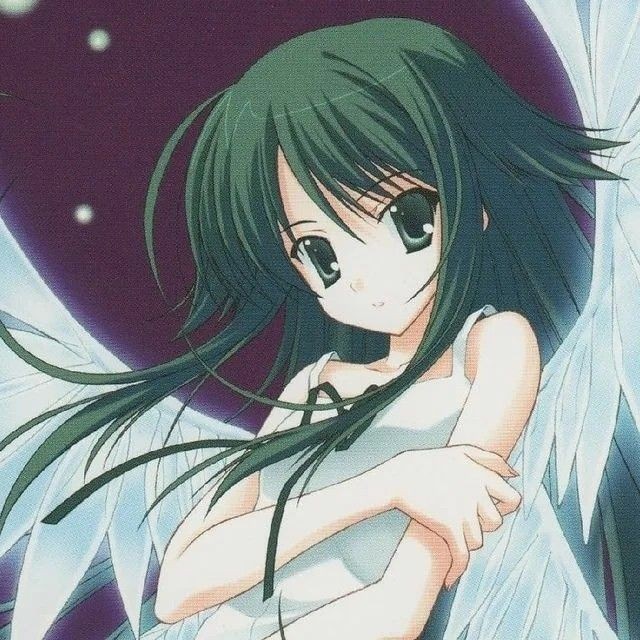 Create meme: angel green anime, anime, saya no uta