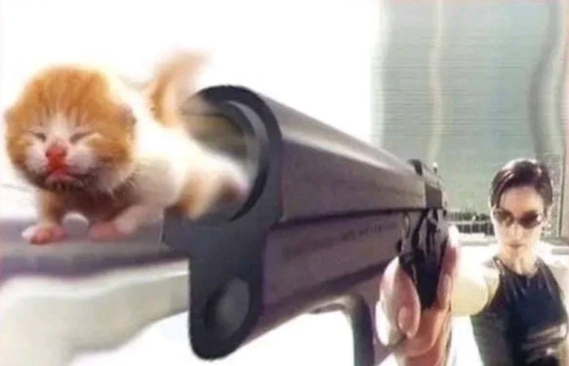 Создать мем: котик, коты, котенок с пистолетом