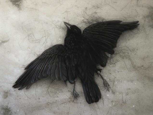 Создать мем: черный стриж, черный ворон с расправленными крыльями арт, ворон крылья