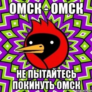 Create meme: memes Omsk bird, Omsk bird