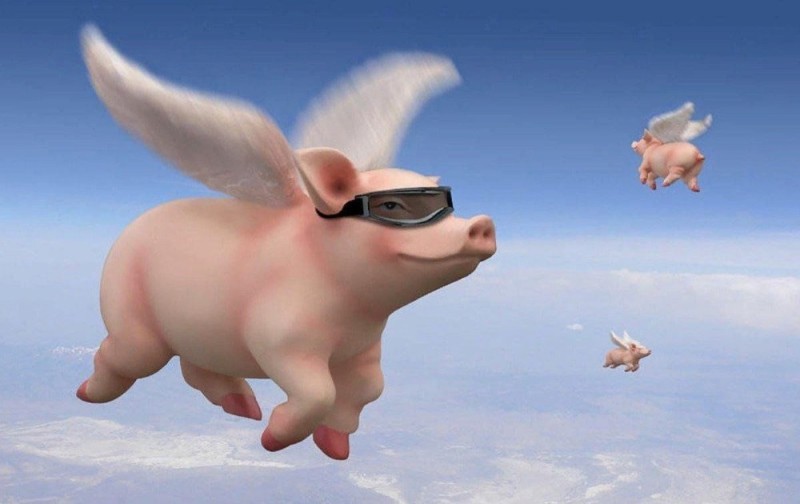 Create meme: The flying pig meme, Flying Pig Day on March 27, pig with wings