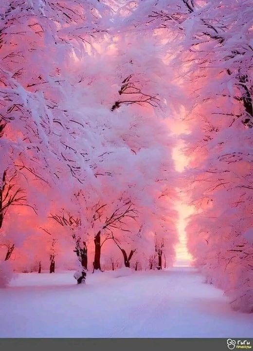 Create meme: winter landscape, winter beautiful, pink snow