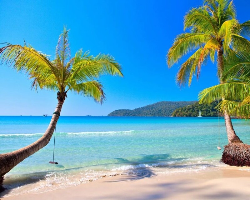 Create meme: palm beach , sea beaches, sea beach palm trees