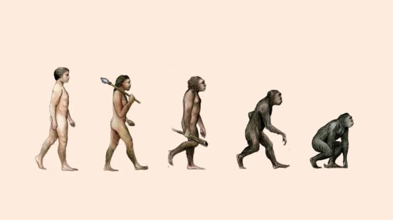 Create meme: evolution, human evolution, human degradation
