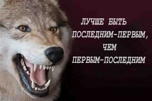 Create meme: quotes funny, the wisdom of the wolf, wolf