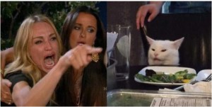 Создать мем: женщина кричит на кота мем, мемы с котами, woman yelling at cat meme