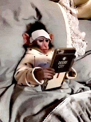 Create meme: a monkey with a phone, A monkey with a phone in bed, homemade monkey