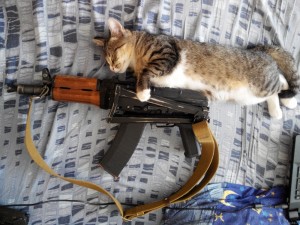 Создать мем: коты с автоматами, котик с автоматом, кот с пулеметом