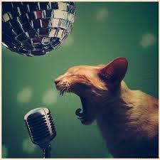 Create meme: cotd with microphone, cat sings karaoke, cat with microphone
