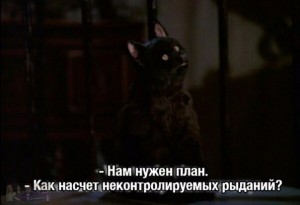 Create meme: great plan, the mood of the cat, salem saberhagen