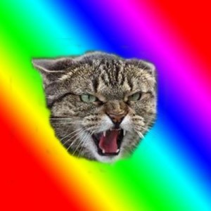Создать мем: Impudent cat, бешенство кошек, бешеный кот