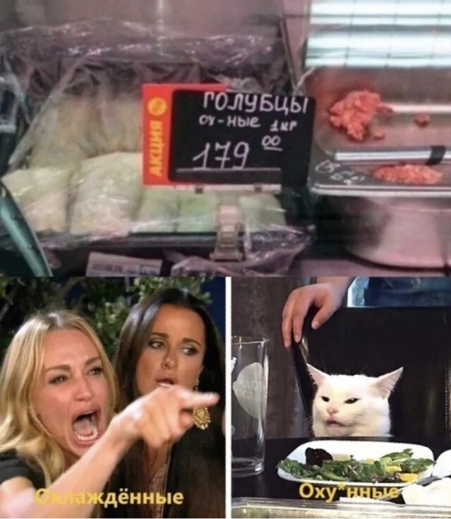 Создать мем: мемы с двумя девушками и котом, мем две женщины орут на кота, кот мем